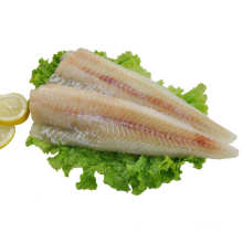 FAO 67 Alaska-Seelachsfisch gefrorenes Alaska-Seelachsfilet